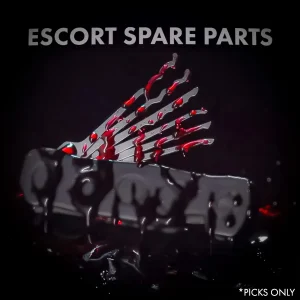 Lockpicks voor de Escort van Sparrows
