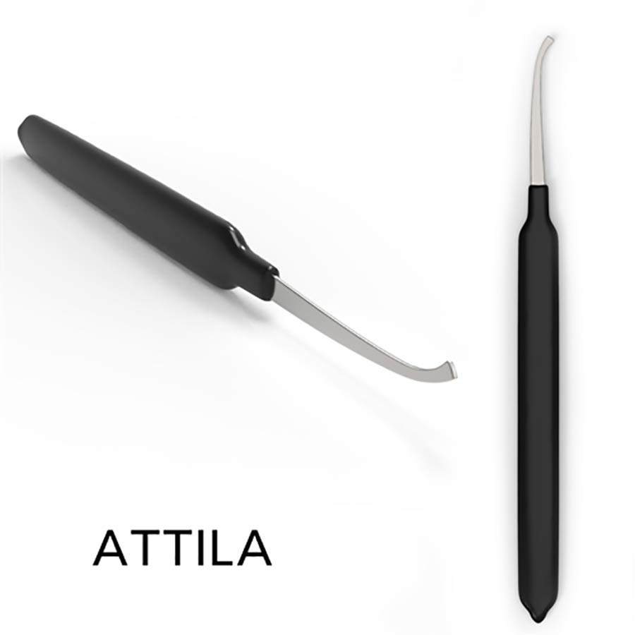 Sparrows Atilla