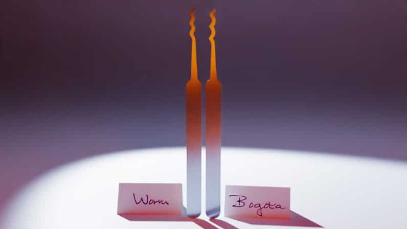 Worm en Bogota Lock Pick
