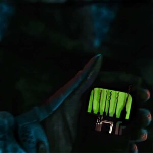 Sparrows Creeper set
