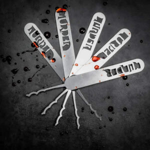 Lock Noob Murder Lockpick Rakes
