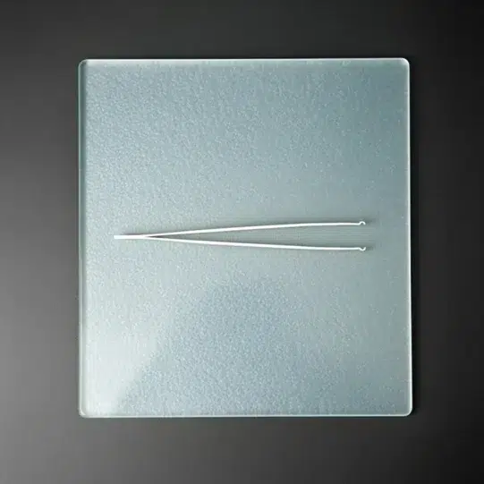 Bovenaanzicht van Standaard Pinning Pincet